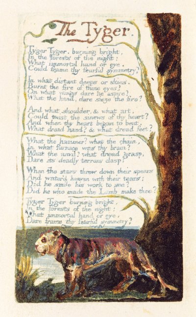 「タイガー」、「Songs of Experience」からのプレート41、1794（WCによるレリーフエッチング） 作： William Blake